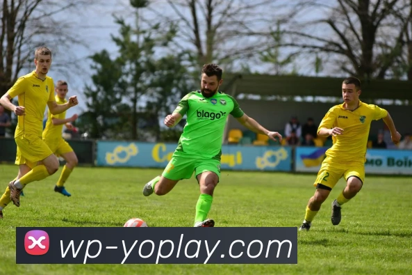 YOPLAY官网平台生态图