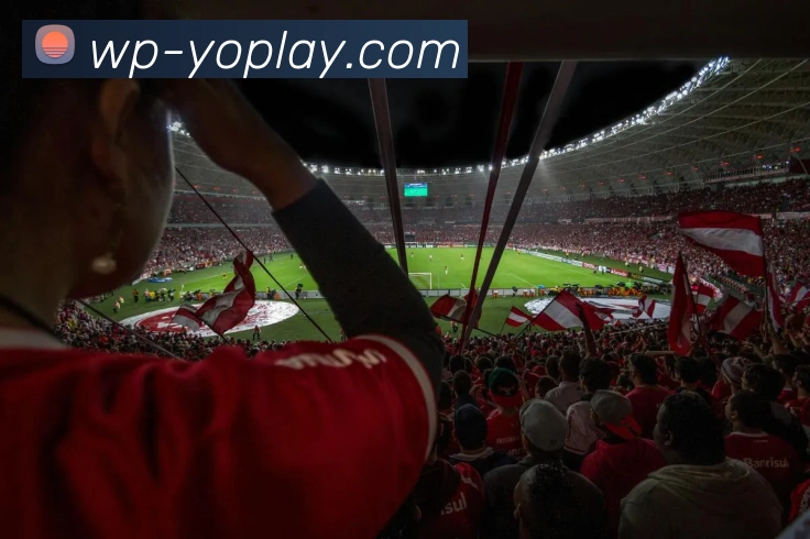 YOPLAY官网APP 封面图